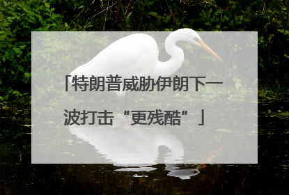特朗普威胁伊朗下一波打击“更残酷”