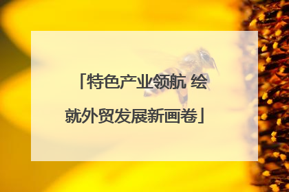 特色产业领航 绘就外贸发展新画卷