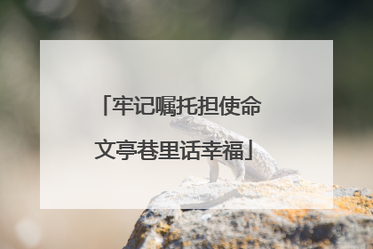 牢记嘱托担使命 文亭巷里话幸福