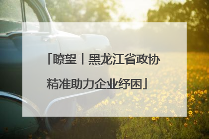 瞭望丨黑龙江省政协精准助力企业纾困