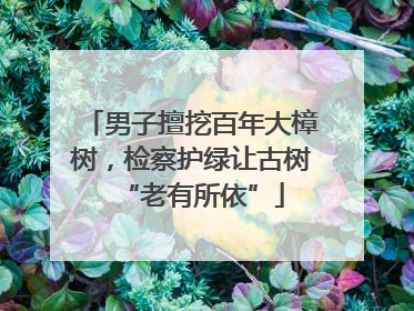 男子擅挖百年大樟树，检察护绿让古树“老有所依”