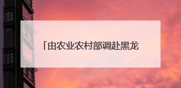 由农业农村部调赴黑龙江一年后，“80后”王杕履新齐齐哈尔副市长