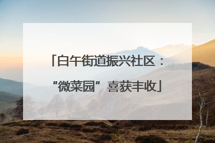 白午街道振兴社区：“微菜园”喜获丰收