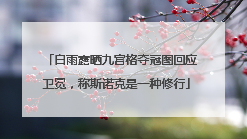 白雨露晒九宫格夺冠图回应卫冕，称斯诺克是一种修行