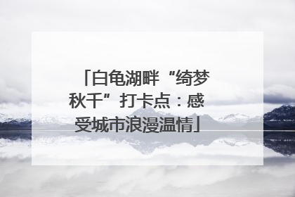 白龟湖畔“绮梦秋千”打卡点：感受城市浪漫温情