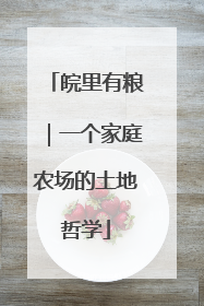 皖里有粮｜一个家庭农场的土地哲学