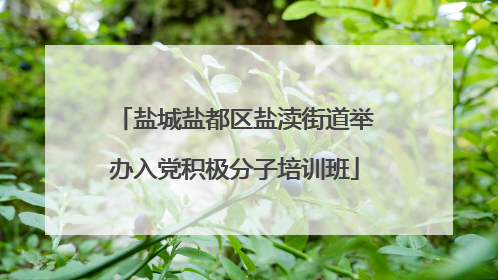 盐城盐都区盐渎街道举办入党积极分子培训班