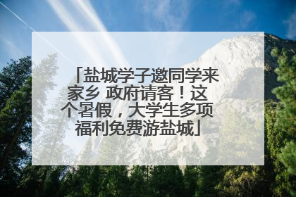 盐城学子邀同学来家乡 政府请客！这个暑假，大学生多项福利免费游盐城