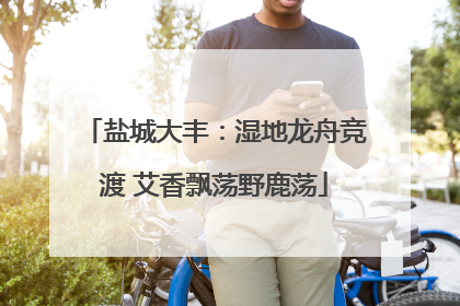盐城大丰：湿地龙舟竞渡 艾香飘荡野鹿荡