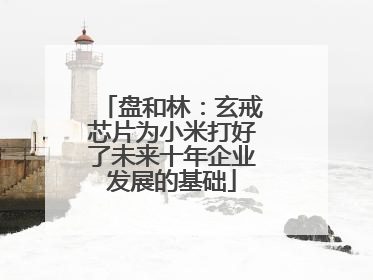 盘和林：玄戒芯片为小米打好了未来十年企业发展的基础