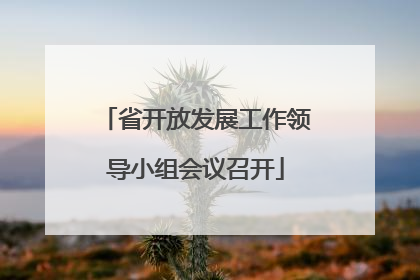 省开放发展工作领导小组会议召开