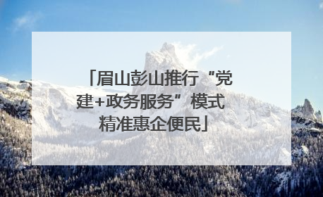 眉山彭山推行“党建+政务服务”模式 精准惠企便民