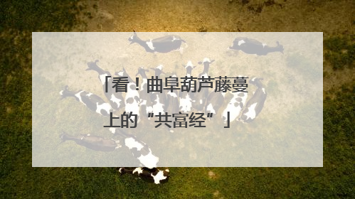 看！曲阜葫芦藤蔓上的“共富经”