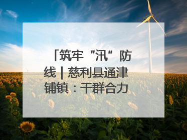 筑牢“汛”防线｜慈利县通津铺镇：干群合力抗击洪灾