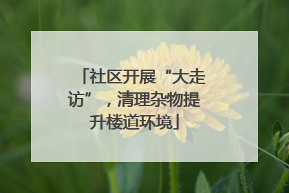 社区开展“大走访”，清理杂物提升楼道环境