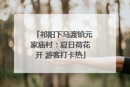 祁阳下马渡镇元家庙村：夏日荷花开 游客打卡热