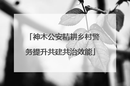 神木公安精耕乡村警务提升共建共治效能