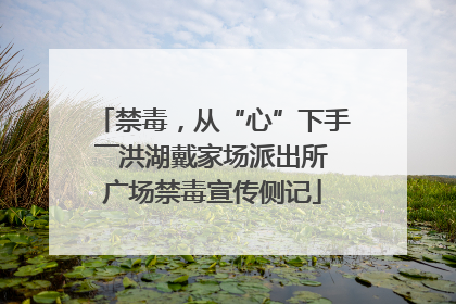 禁毒，从“心”下手――洪湖戴家场派出所广场禁毒宣传侧记