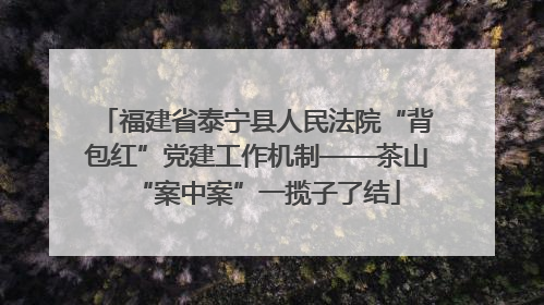 福建省泰宁县人民法院“背包红”党建工作机制——茶山“案中案”一揽子了结