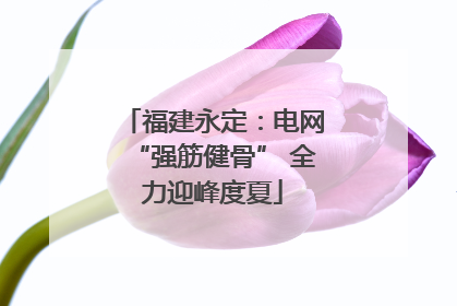 福建永定：电网“强筋健骨” 全力迎峰度夏