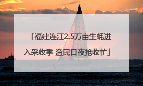 福建连江2.5万亩生蚝进入采收季 渔民日夜抢收忙