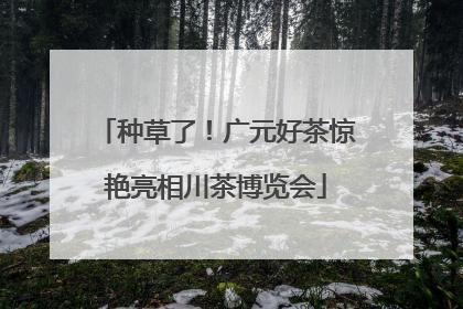 种草了！广元好茶惊艳亮相川茶博览会