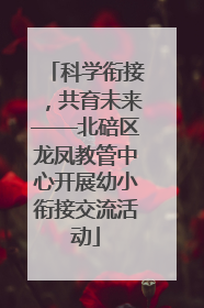 科学衔接，共育未来——北碚区龙凤教管中心开展幼小衔接交流活动
