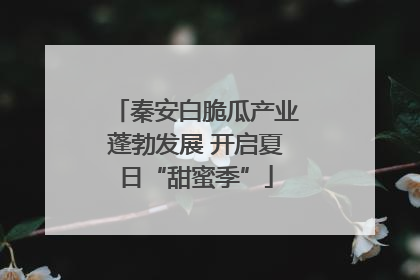秦安白脆瓜产业蓬勃发展 开启夏日“甜蜜季”