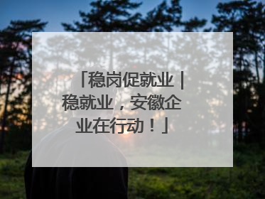 稳岗促就业｜稳就业，安徽企业在行动！