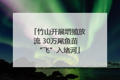 竹山开展增殖放流 30万尾鱼苗“飞”入堵河