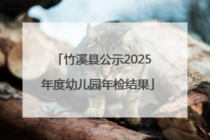 竹溪县公示2025年度幼儿园年检结果