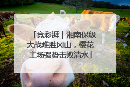 竞彩湃｜湘南保级大战难胜冈山，樱花主场强势击败清水