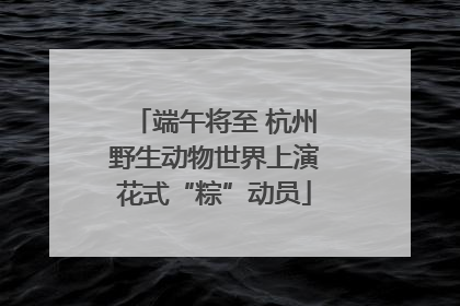 端午将至 杭州野生动物世界上演花式“粽”动员