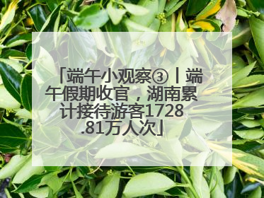 端午小观察③丨端午假期收官，湖南累计接待游客1728.81万人次