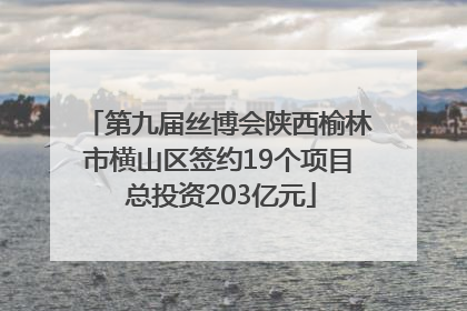 第九届丝博会陕西榆林市横山区签约19个项目 总投资203亿元