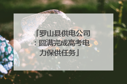 罗山县供电公司：圆满完成高考电力保供任务