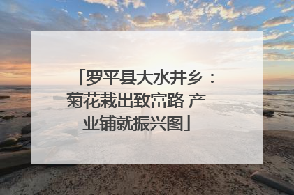 罗平县大水井乡：菊花栽出致富路 产业铺就振兴图