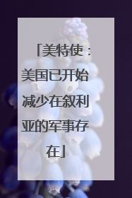 美特使：美国已开始减少在叙利亚的军事存在