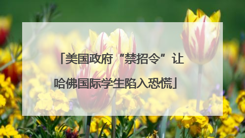 美国政府“禁招令”让哈佛国际学生陷入恐慌