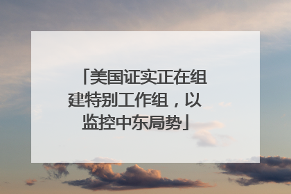 美国证实正在组建特别工作组，以监控中东局势