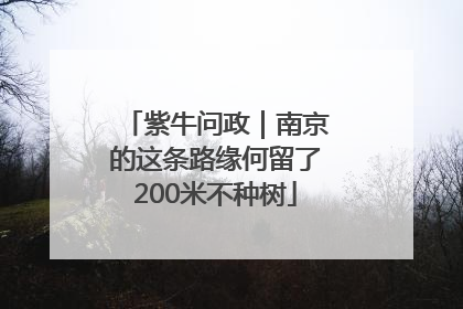 紫牛问政｜南京的这条路缘何留了200米不种树