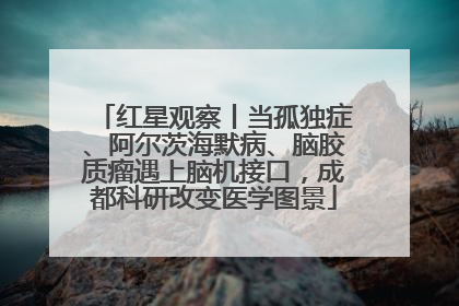 红星观察丨当孤独症、阿尔茨海默病、脑胶质瘤遇上脑机接口，成都科研改变医学图景