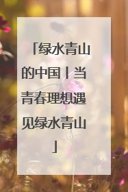 绿水青山的中国丨当青春理想遇见绿水青山