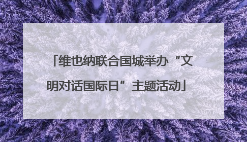维也纳联合国城举办“文明对话国际日”主题活动