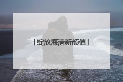 绽放海港新颜值