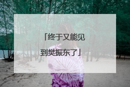 终于又能见到樊振东了