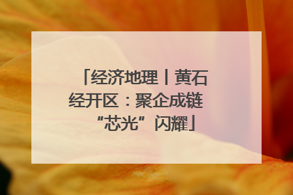 经济地理丨黄石经开区：聚企成链“芯光”闪耀