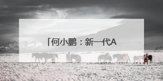 何小鹏：新一代AI可能在未来3到4年间催生超级业务