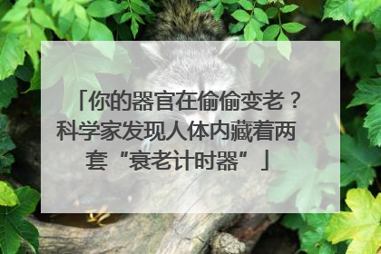你的器官在偷偷变老？科学家发现人体内藏着两套“衰老计时器”