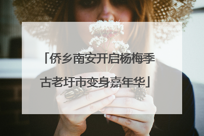 侨乡南安开启杨梅季 古老圩市变身嘉年华